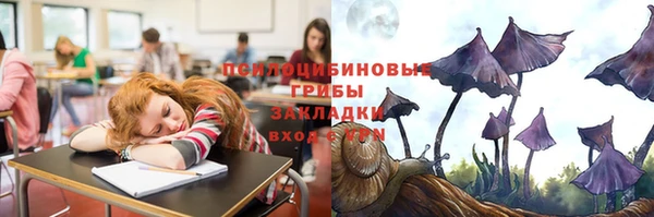а пвп мука Верея