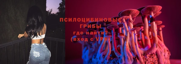 а пвп мука Верея