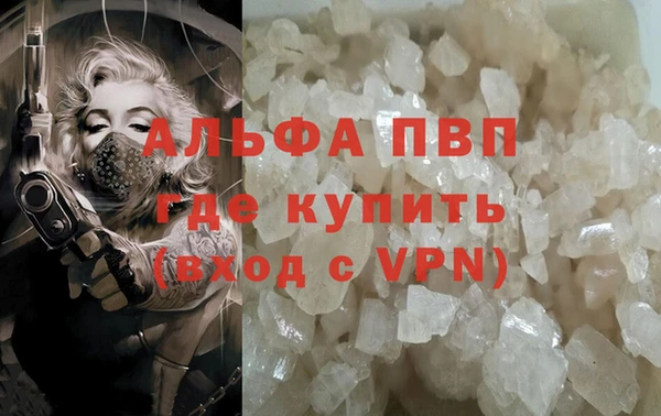 стафф Верхний Тагил