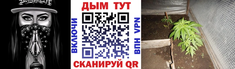 Конопля индика  кракен tor  Городище  цена  